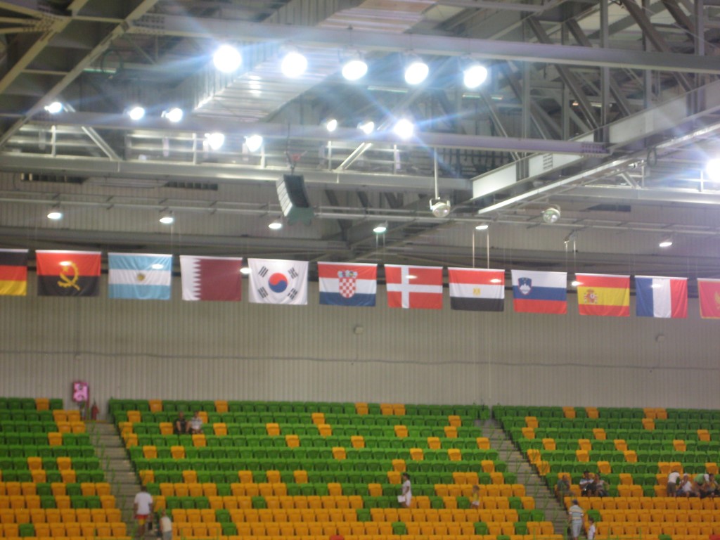 Handball Germany vs Qatar 2