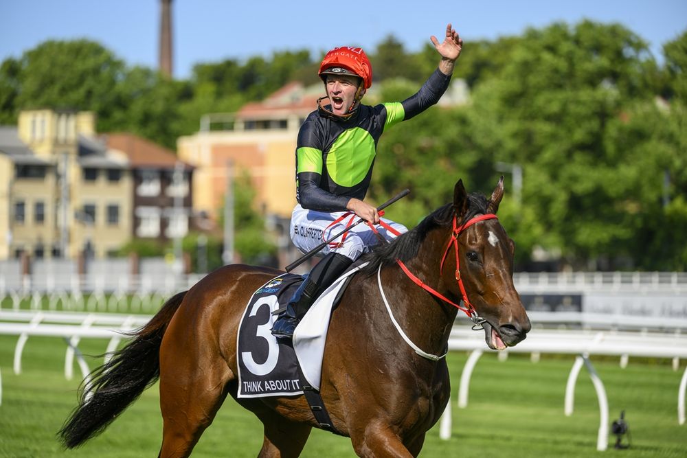 Champion sprinter and Everest winner, Think About It, has died post image