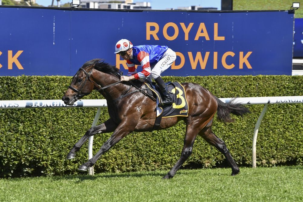 Wedding bells and winning hopes for Portelli post image