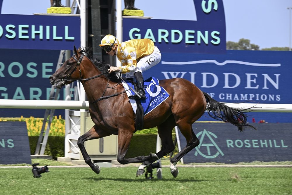 Slipper winner Ascot bound post image