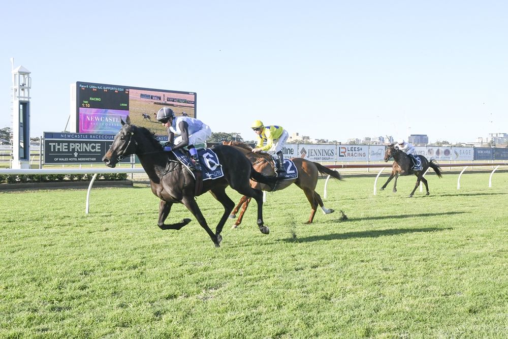 Hawkesbury makes history with Stakes debut post image
