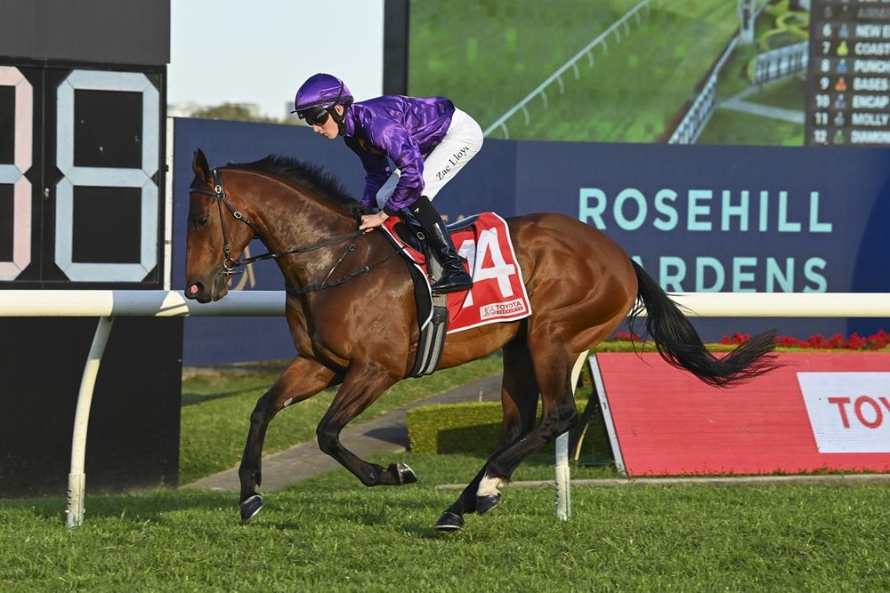 Magic Millions mission for Dunn’s duo post image