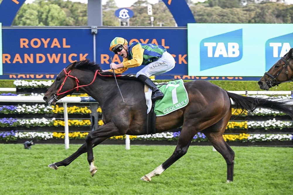 Autumn Glow better than Winx as Doncaster dream diminishes post image