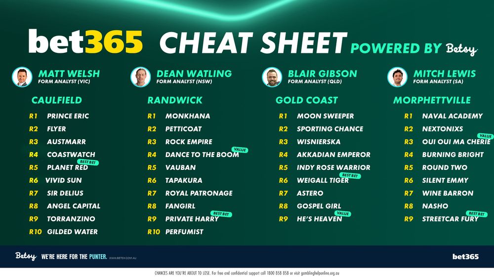 Betsy's cheat sheet post image