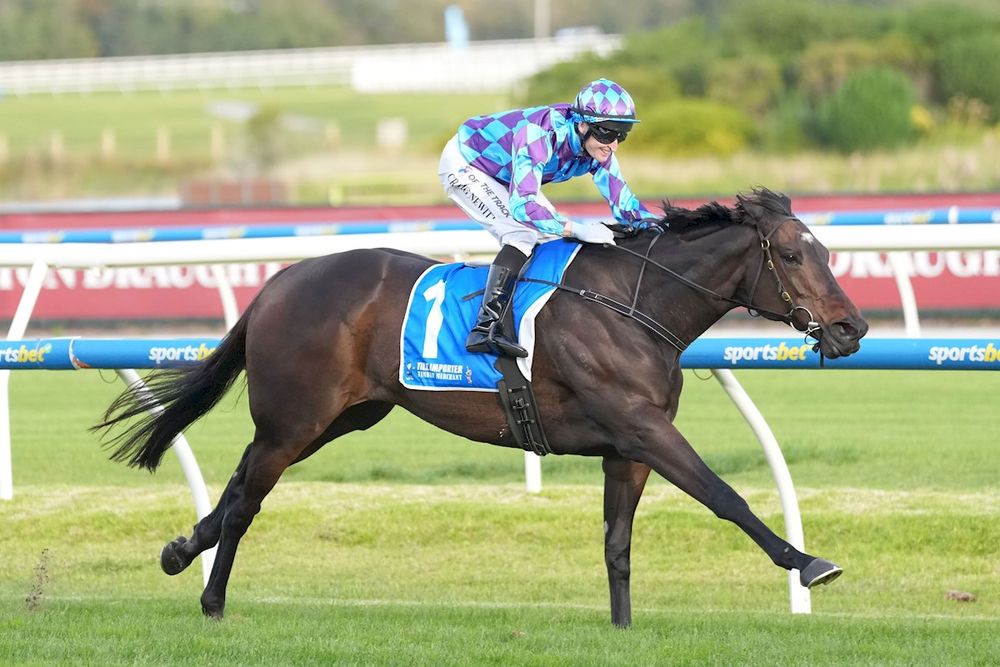Jenni eyeing off Treasurethe Moment clash post image
