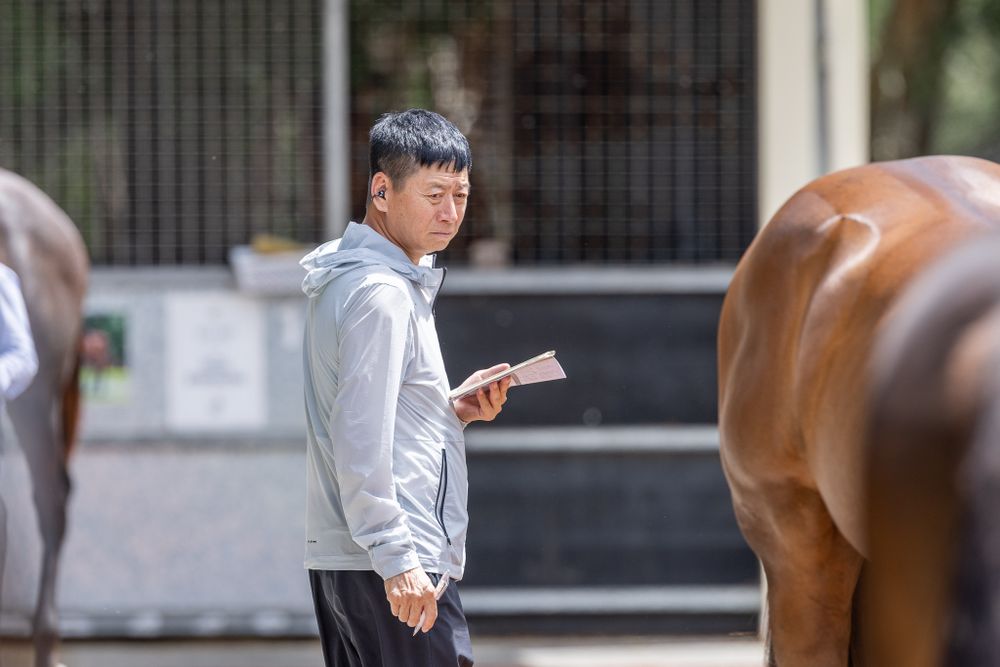 Yulong billionaire boss arrives on Gold Coast post image