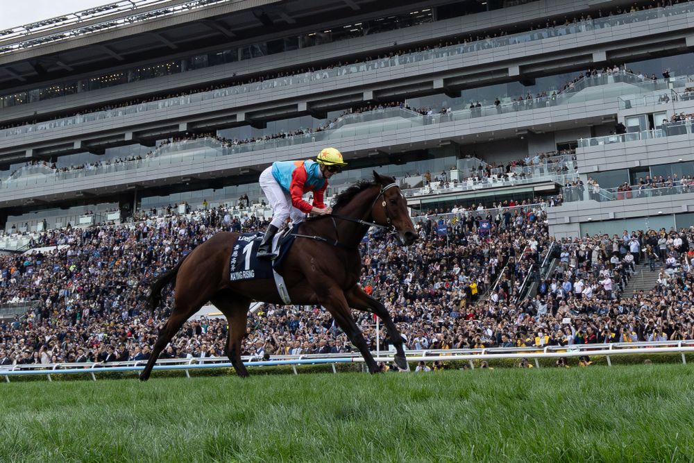 Top honours for Ka Ying Rising post image