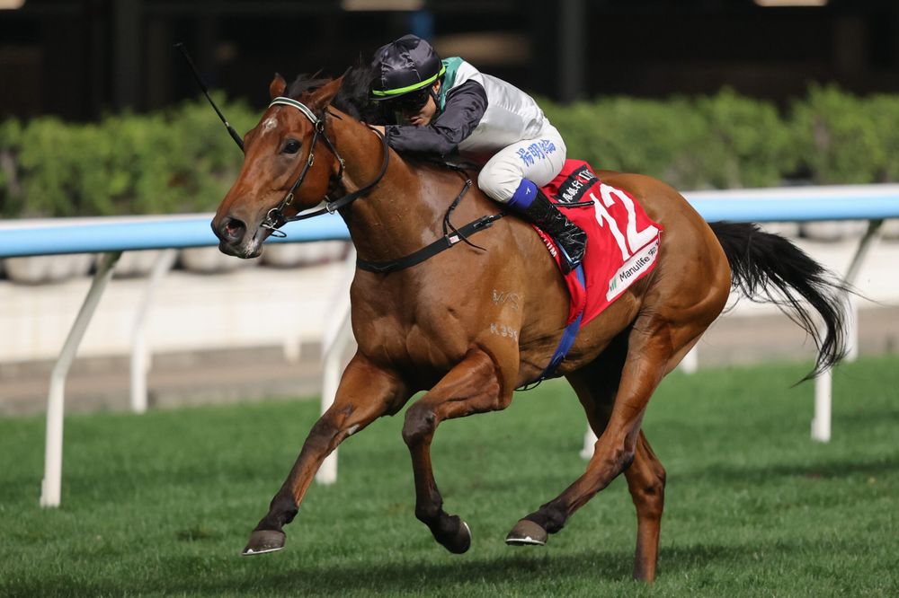 David Hayes scores 700th Hong Kong win, unveils Derby hopeful post image