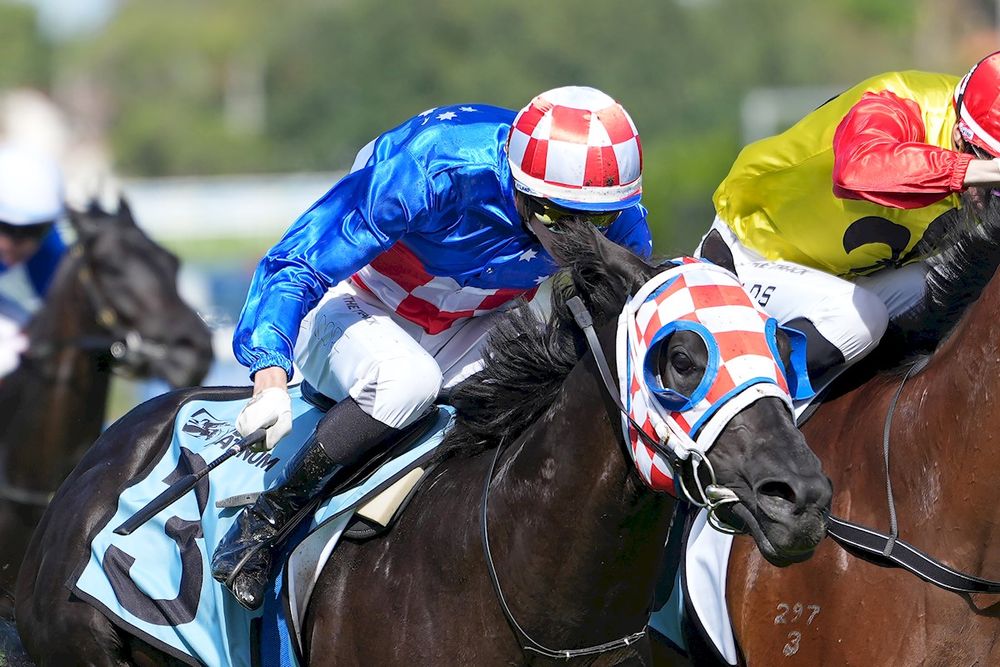 Punter lands $100,000 with perfect Pick 6 post image
