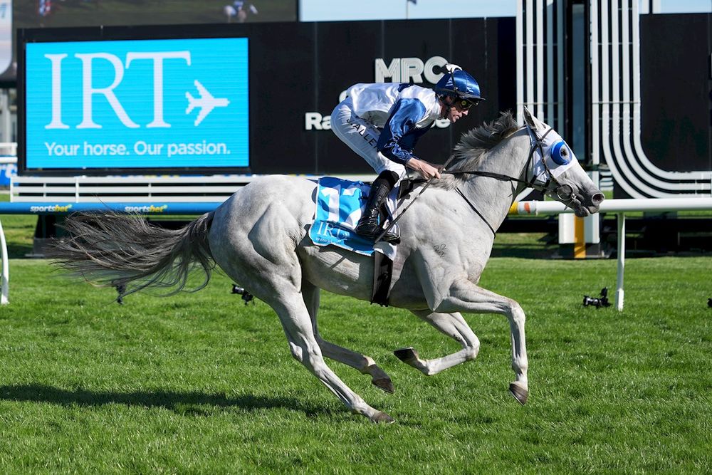 From France to Morphettville: Senechaud’s Salty Pearl Group 1 fairytale post image