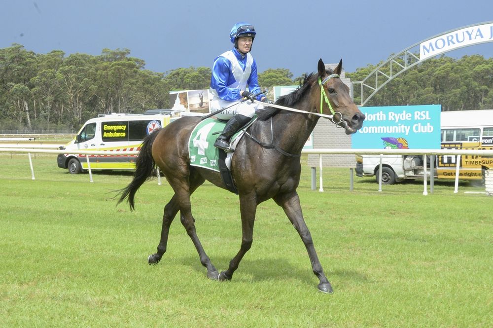 Vermicella targets Country Championships after Queanbeyan Cup win post image