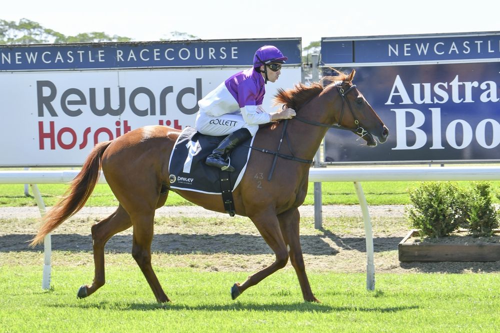 Dean Watling’s Provincial Championship Qualifier preview: Buffalo the horse to beat post image