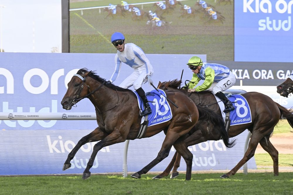 Yulong distances itself from Private Harry axing post image