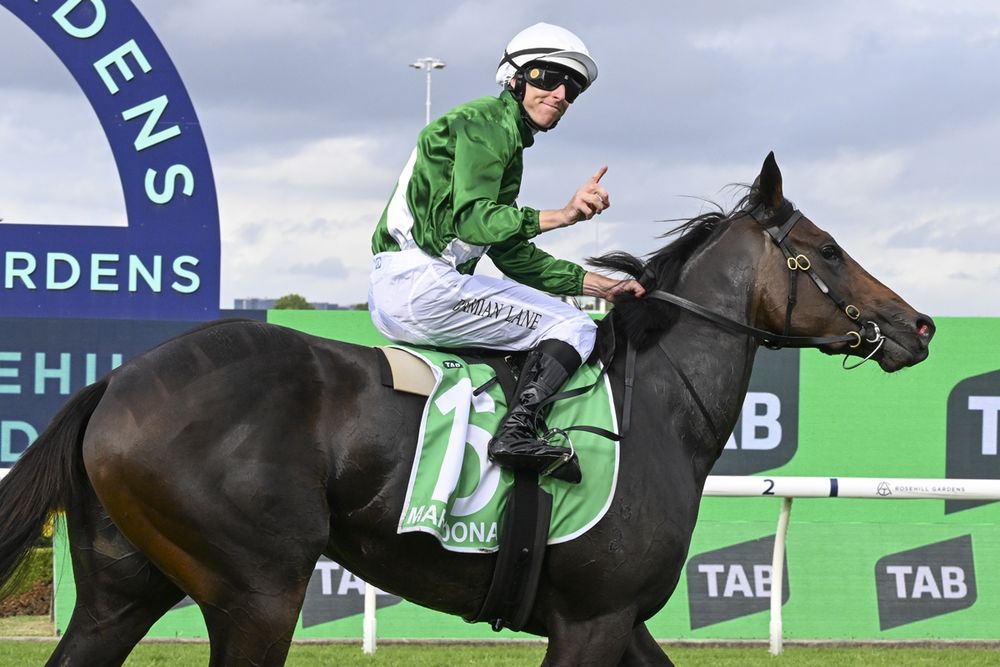 Slipper winner's disappearing act post image