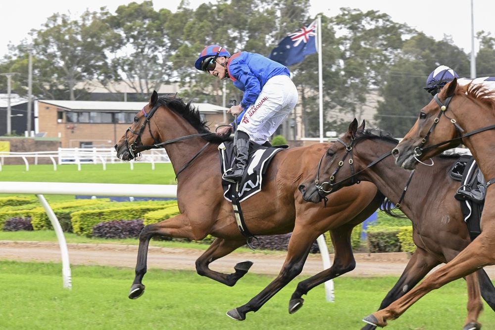 Racelab’s In The Lab: Ratings reveal the key plays in Tancred Stakes & Australian Cup post image