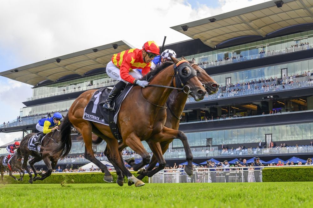 Dean Watling’s Tips: Hawkesbury Provincial-Midway Championship Qualifier Day post image