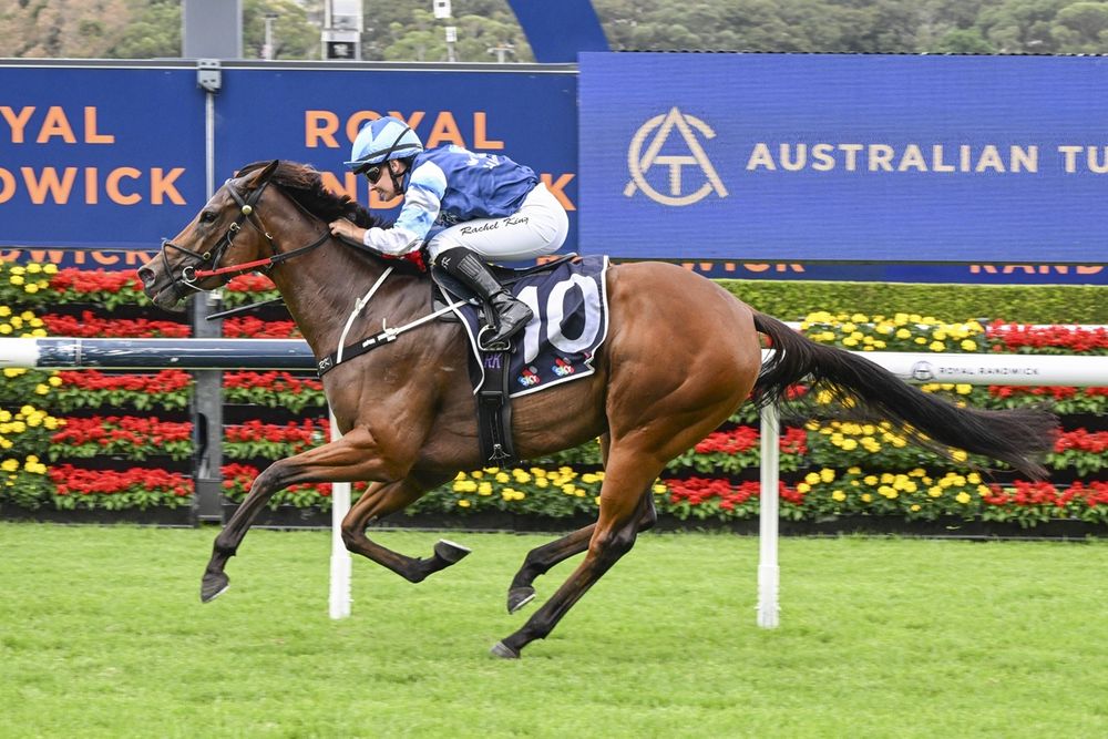 'No one is looking at The Warra and saying that is the race I want to win this spring, except me' post image