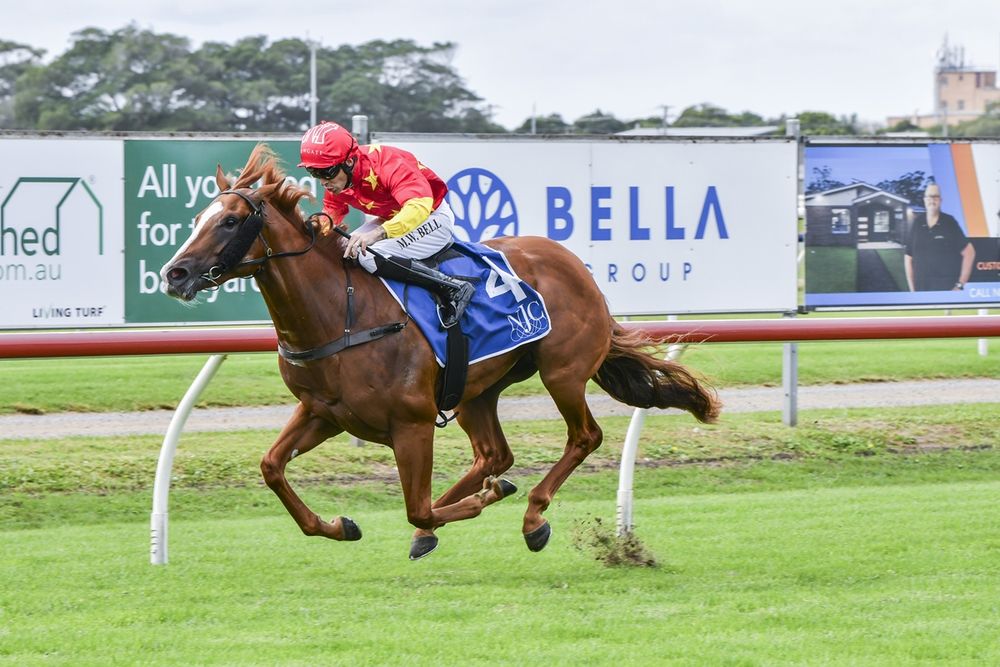 In The Lab: 2025 Coolmore Stud Stakes post image