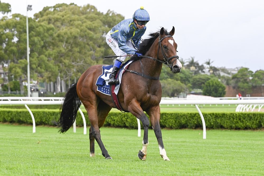 Gosford Provincial-Midway Championship Qualifier: Dean Watling's best of the day at Gosford post image