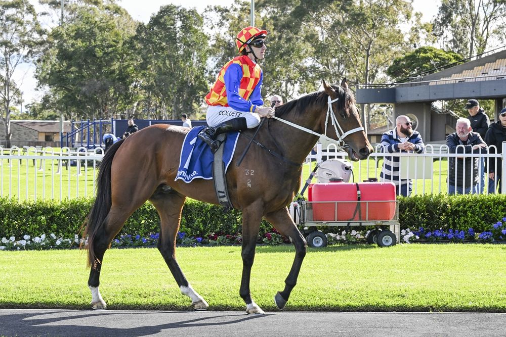 Good Will Hunting: Caulfield Guineas post image