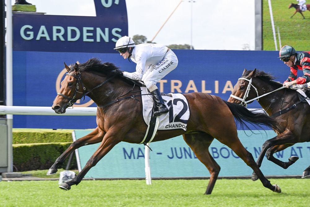 Portelli’s Queen ready to dethrone Apocalyptic post image