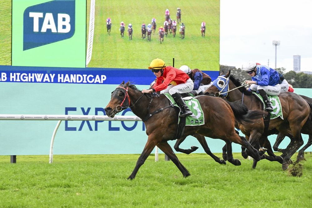 Dean Watling previews the Dubbo Country Championships Qualifier post image