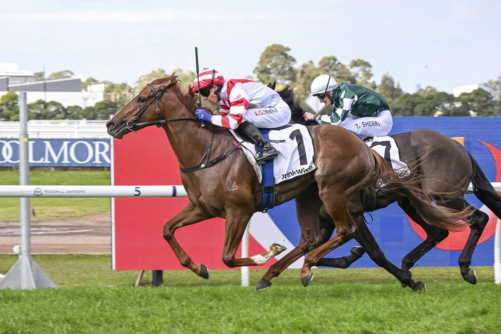 Skyhook seeking a change of fortune at HQ post image