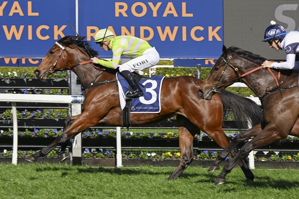 Coolmore Classic Preview: Racelab’s Matt Collum breaks down the Group 1 showdown at Rosehill post image