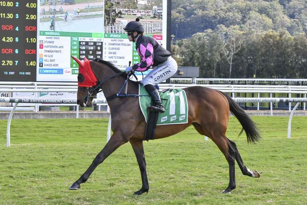 The little filly that could: 15k Diva set to tackle the Oaks post image