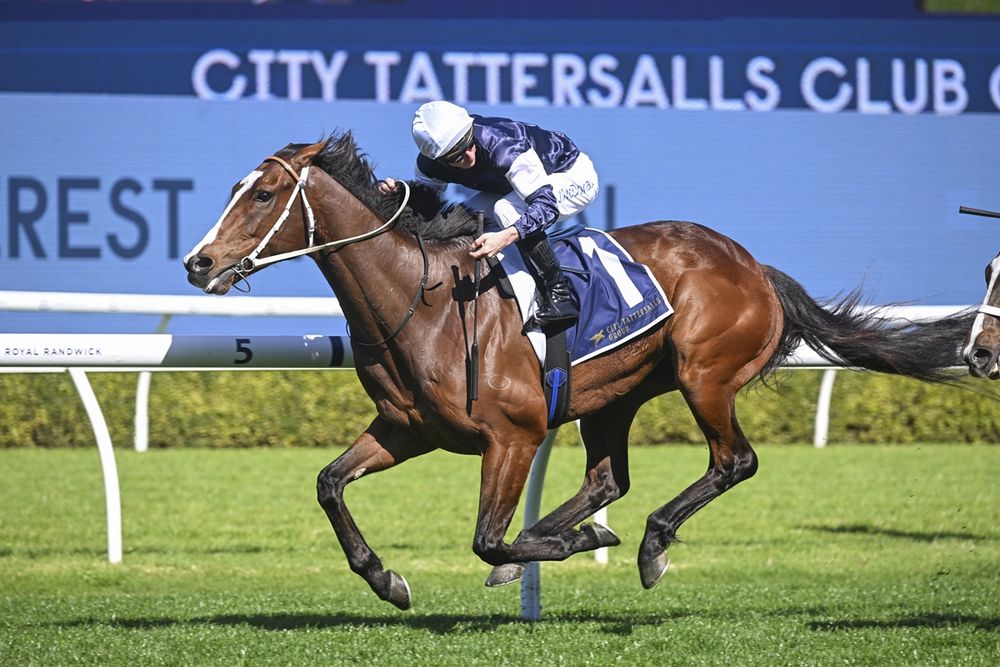 Geelong then Flemington? Changingoftheguard’s Cup trail post image
