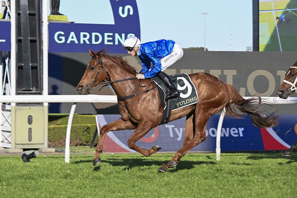 Dean Watling goes runner-by-runner through a deep Arrowfield Sprint post image