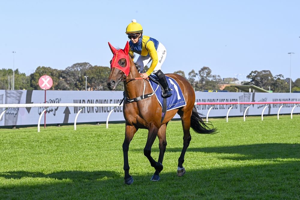 Bjorn Baker splits stars as Pericles targets Sydney and Stefi Magnetica heads to All-Star Mile post image