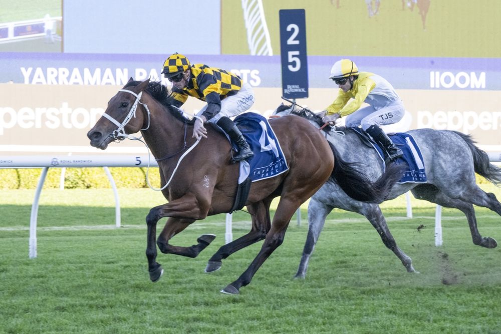 Waller’s dream silks ready as he chases rare Sydney Group 1 clean sweep post image