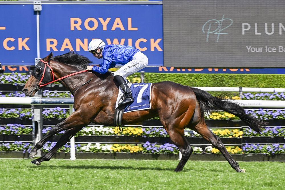 ‘We don’t know his limits’: Pride unleashes Attica in Randwick Guineas test post image