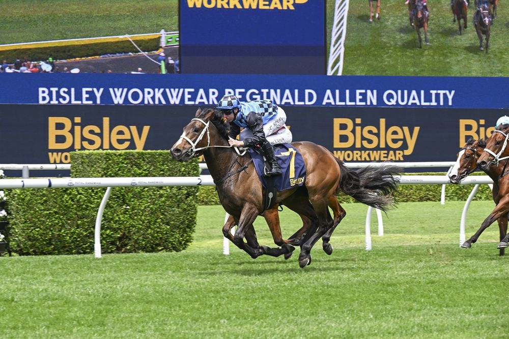 Waller eyes historic 200th Group 1 as Adelaide Carnival looms post image