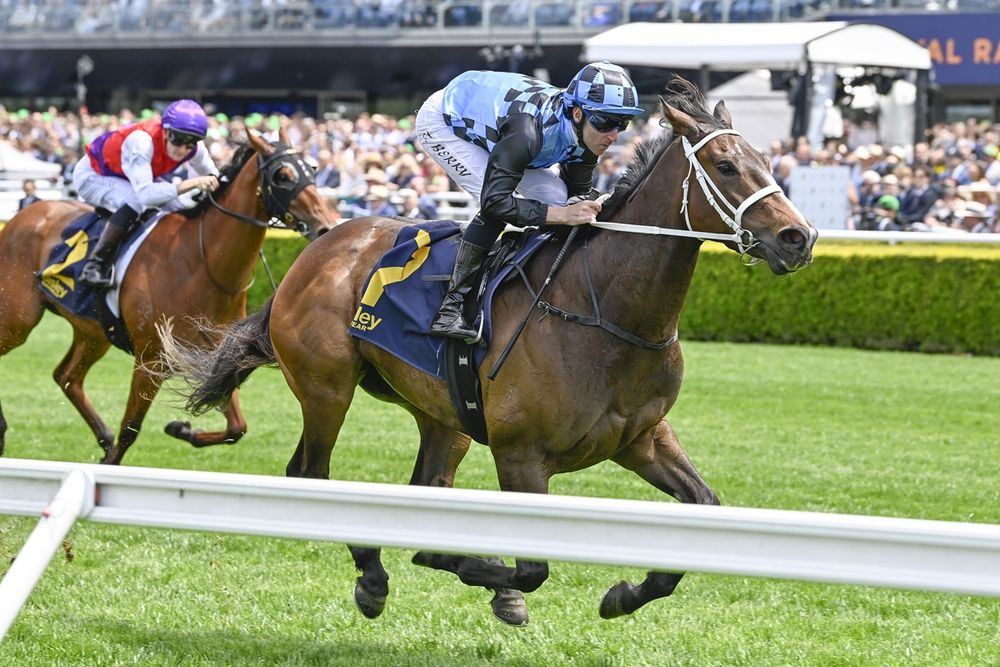 Dean Watling: Spring's rising stars post image