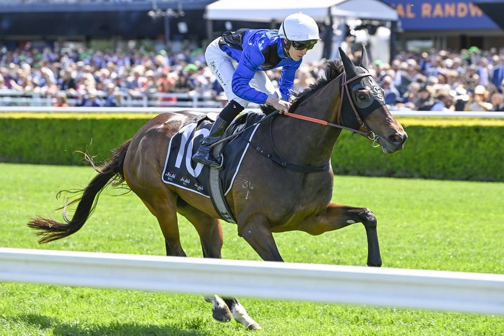 Idle Flyer faces ultimate test as Smith targets Queen Of The Turf breakthrough post image