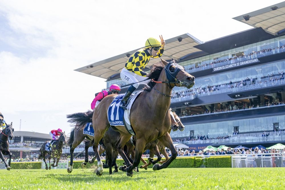 Muswellbrook Tips: Dean Watling’s Best Bets for Country Championships Qualifier Day post image
