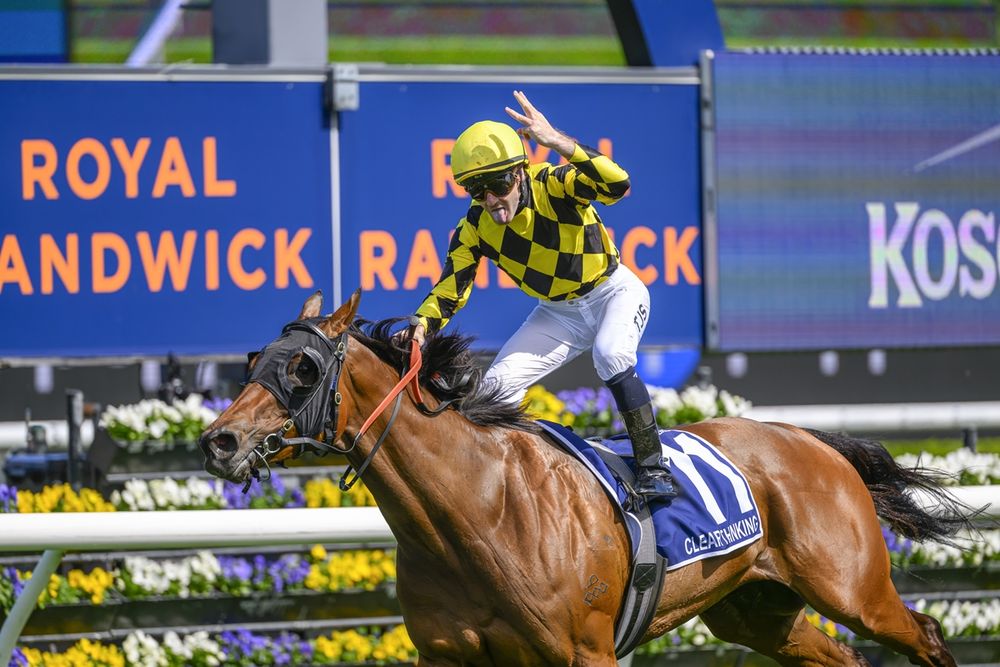 From royal reject to million-dollar mare post image