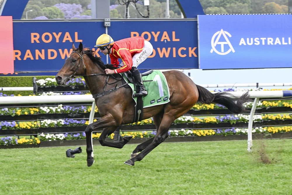 Stradbroke to stardom: Gollan’s Transatlantic leads Five Diamonds charge post image