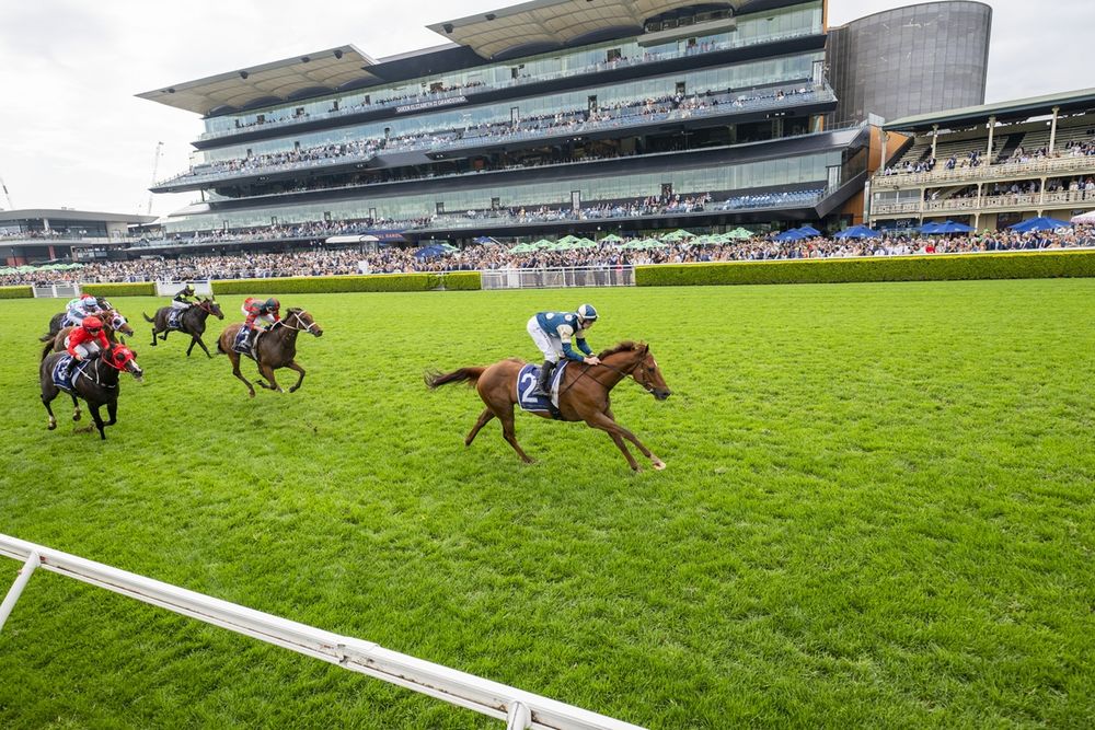 Barbeque-gate: ‘choice words’ text exposes Racing NSW fracture post image