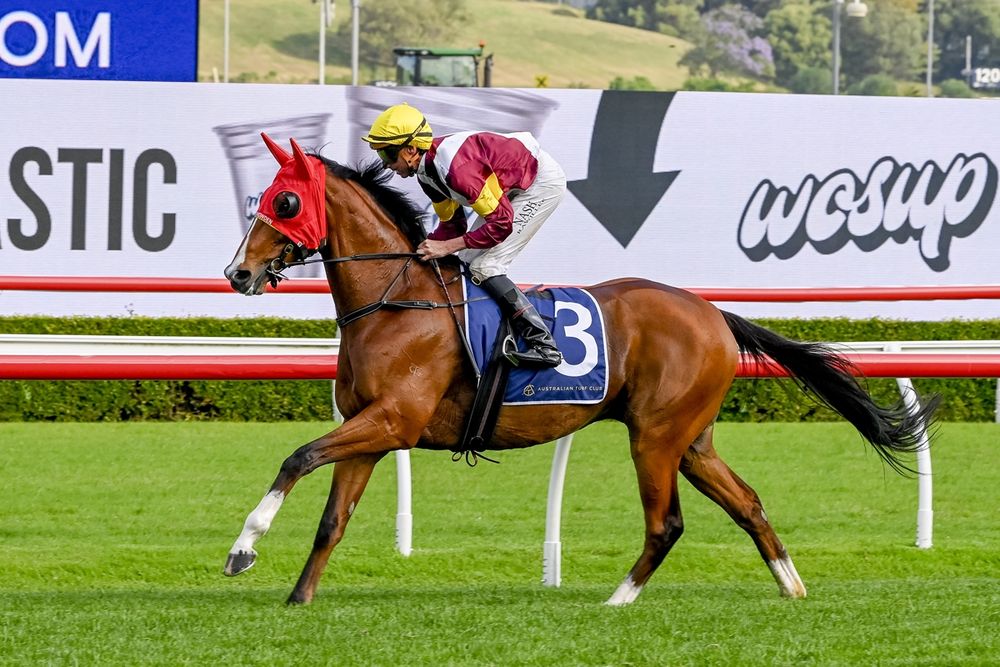 ‘He shouldn’t be racing’: Huetor defies odds again post image