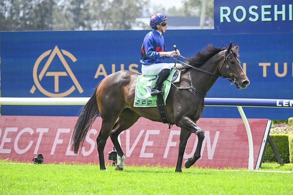 Dean Watling’s Port Macquarie Qualifier Day Preview post image
