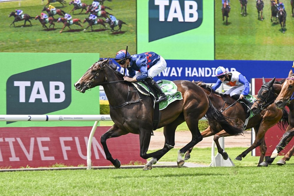 From barrier rogue to Championships hope: Lunaite’s redemption run for Paul Snowden post image