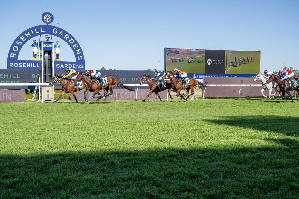Scorching forecast puts Rosehill at risk of weekend reshuffle post image