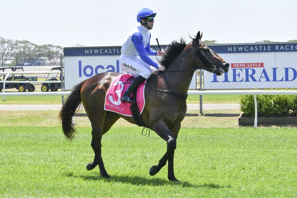 From beach gallops to Black Type: Nick Kyrgios-owned colt set for Classic post image