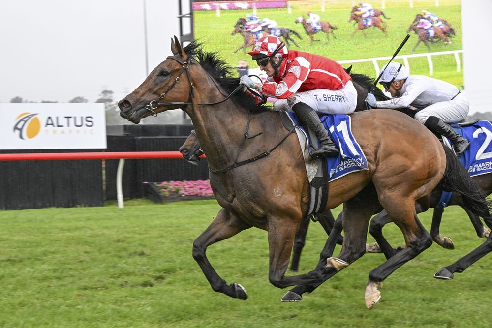 From $10,000 gamble to stable star post image