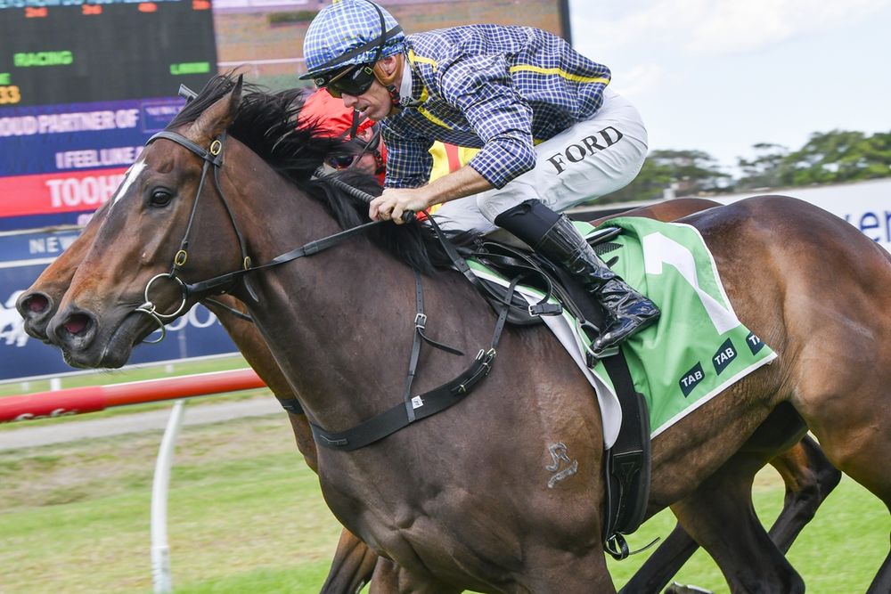 Ryan’s $9.50 roughie can rattle favourite post image