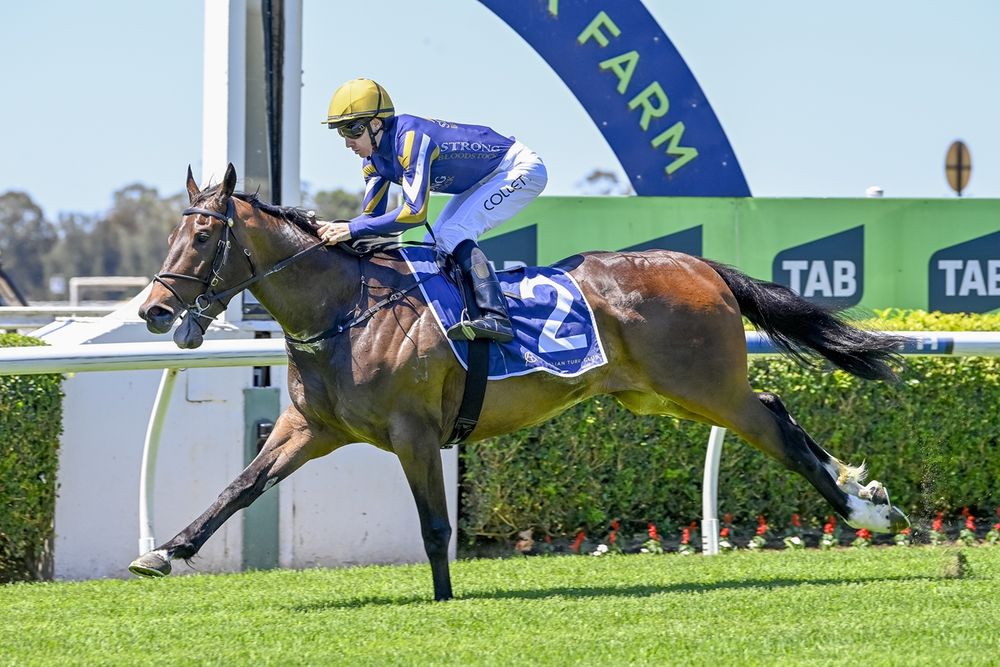 Dean Watling goes talent scounting post image