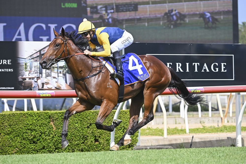 Bjorn Baker’s Magic Millions blitz post image